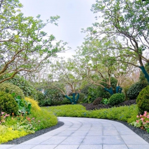 別墅庭院設(shè)計(jì)的后期如何養(yǎng)護(hù)苦心孤诣？